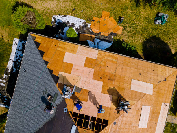 Best Best Roofing Contractors  in Heidelberg, TX